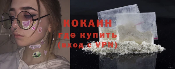 спайс Арсеньев