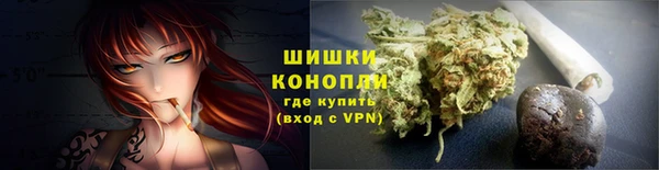 PSILOCYBIN Баксан