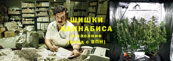 PSILOCYBIN Баксан
