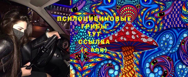 PSILOCYBIN Армянск